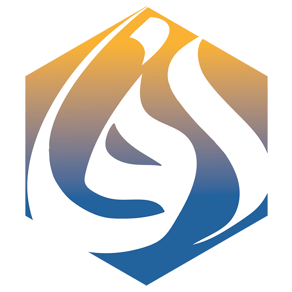 Logo Verband afghanischer Organisationen in Deutschland e.V. (VAFO)